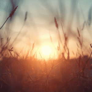 The REWILD Method™ (4-Month Programme)